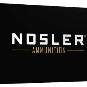 Nosler 40043 Ballistic Tip  30-06Springfield 165gr Spitzer Ballistic Tip 20 Per Box/10 Case