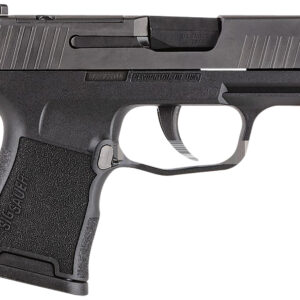 Sig Sauer 365380BSS P365  Micro-Compact 380 ACP 10+1 3.10" Black Carbon Steel Barrel, Black Nitron Optic Ready/Serrated Slide & Frame w/Sig Rail, Black Polymer Grips, Right Hand
