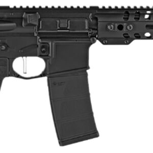 Patriot Ordnance Factory 01801 Minuteman Direct Impingement 5.56x45mm NATO 30+1 10.50", Black, Buffer Tube Stock, Textured Polymer Grip, 3 Prong Flash Hider