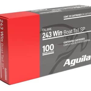 Aguila 8047AG   243Win 100gr InterLock Boat Tail Soft Point 20 Per Box/10 Case