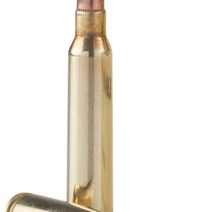 TR&Z PPRM5561P Range Master 5.56x45mm NATO 55 gr Full Metal Jacket Boat Tail 125 Per Box/ 4 Case