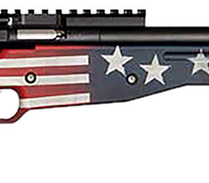 Crickett KSA2150-OG Precision  Full Size 22 LR Single Shot 16.10" Blued Threaded Bull Barrel, Blued Crickettinny Rail Steel Receiver, Old Glory Synthetic Adj LOP Stock