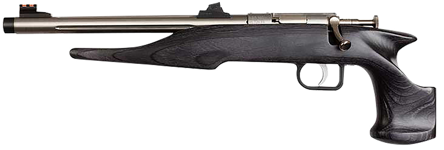 Chipmunk 40103 Hunter  Youth Frame 22 LR Single Shot 9" Threaded Stainless Steel Barrel, Black Laminate Frame