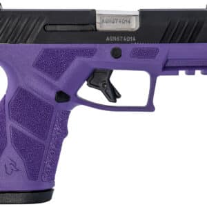 Taurus 1-GX2931DP-10 GX2  9mm Luger 10+1 3.37" Matte Stainless Steel Barrel, Matte Black Serrated Stainless Steel Slide, Dark Purple Polymer Frame w/Picatinny Rail, Polymer Grip