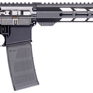 Patriot Ordnance Factory 02317 P-15 Base 5.56 NATO 10+1 16.50" Black Anodized A2 Style Grip *California Compliant