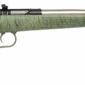 Crickett KSA2442 Gen2 Youth 22 LR 1rd 16.13" Stainless Single Shot Barrel, Stainless Steel Receiver, Green w/Black Webbing Fixed Synthetic Stock