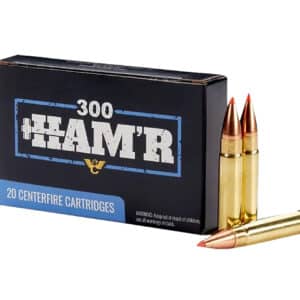 Wilson Combat A300HMR110VMAX 300HAM'R 110gr V-Max 20 Per Box/10 Case