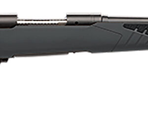 Savage Arms 57042 110 Hunter Full Size 300 Win Mag 3+1 24" Matte Black Button-Rifled Barrel, Matte Black Drilled & Tapped Carbon Steel Receiver, Adj AccuStock Matte Gray Synthetic Stock, Right Hand
