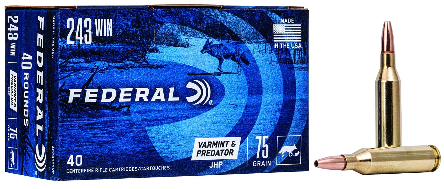Federal AE24375VP American Eagle Varmint & Predator 243Win 75gr Jacketed Hollow Point 40 Per Box/5 Case