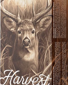 BARNES HARVEST 6.5 CM  140GR - TIPPED GAMEKING 20RD 10BX/CS