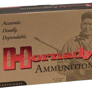 HORNADY 9.3x74R 286GR SP-RP - 20RD 6BX/CS