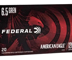 FED AM EAGLE 6.5GRN 120GR OTM 20/200
