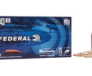 FED V&P 243WIN 75GR V-MAX 20/200