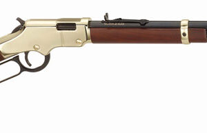 HENRY GOLDENBOY 17HMR - 20" OCTAGON WALNUT