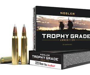 NOSLER TG 223REM 70GR AB 20/200