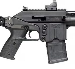 PLR-16 DFNDR 5.56 9.2" MagP Grp  Brace Blk 10rd