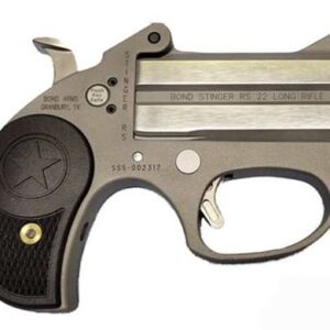 Stinger RS .22LR 3" SS/Blk 2-rd