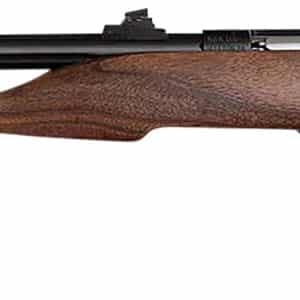 Chipmunk 40001 Hunter  Youth Frame 22 S/L/LR Single Shot 9" Threaded Blued Steel Barrel, Walnut Frame, EZ Loader