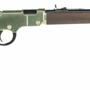 Henry H004 Golden Boy  22 LR Caliber with 16 LR/21 Short Capacity, 20" Octagon Barrel, Brasslite Metal Finish & American Walnut Stock Right Hand