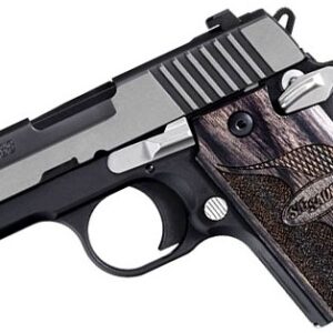 P938 Equinox 9MM 3" NS Two Tone 6-rd
