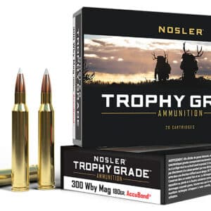 Nosler 48643 Trophy Grade  300WthbyMag 180gr Nosler AccuBond 20 Per Box/10 Case