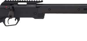 ANSCHUTZ 1761 APR HB 22LR - 21.4" W/30 MOA RAIL