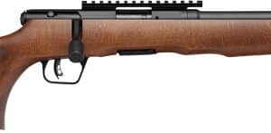 SAVAGE B17 TIMBER THUMBHOLE - 17HMR 18" 10RD BLUED/WOOD
