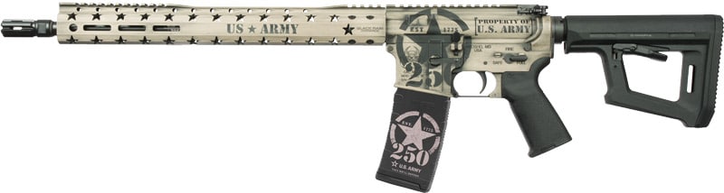 BLACK RAIN SPEC15 ARMY 250TH - CUSTOM 5.56 LIGHT SAND BW 30RD - Image 2