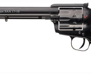 CHIAPPA SAA17-10 17HMR - 7.5" AS 10RD BLACK MATTE