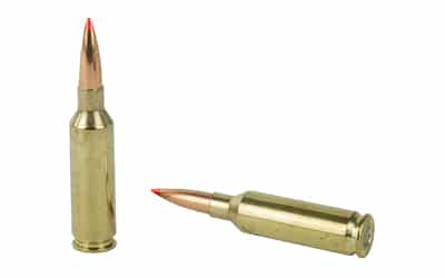 HRNDY 6MM ARC 103GR ELD-X 20/200 - Image 4