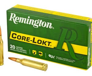 REM 243WIN 100GR PSP CL 20/200