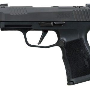P365XL Comp 380 ACP 3.1" OR  XRAY3 BLK 2/12rd