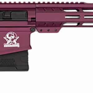 Great Lakes Firearms GL10308SSCHY GLFA  308 Win 10+1 18" AR-10 Stainless Steel Black Cherry