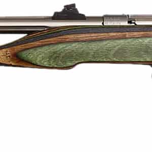 Chipmunk 41105 Hunter Adult 22 Mag 1rd 9" Threaded Stainless Steel Single Shot Barrel, Camo Laminate Stock