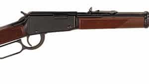 L/A 22Mag 19" B AS 11rd