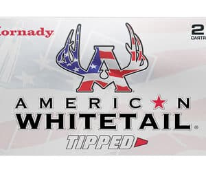 HRNDY AWT 30-06 165GR SST 20/200