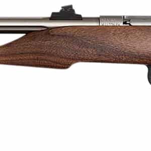 Chipmunk 40101 Hunter  Youth Frame 22 S/L/LR Single Shot 9" Threaded Stainless Steel Barrel, Walnut Frame, EZ Loader