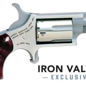 Mini-Rev 22LR 1 1/8"S FS Prpl Pearl Grp