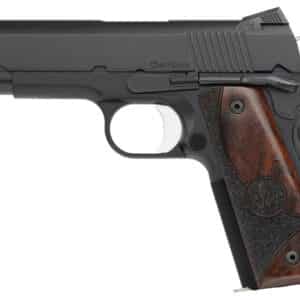 Dan W Guardian 9mm 4.25" Blk,TNS,WG 9rd