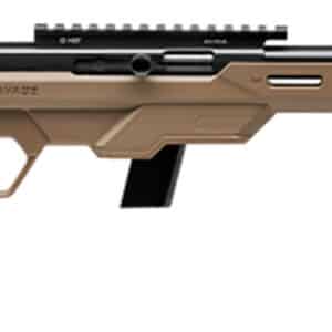 Savage Arms 45124 64 Precision 22 LR Caliber with 10+1 Capacity, 16.50" Threaded Barrel, Matte Black Metal Finish & Chassis Flat Dark Earth Synthetic Stock Right Hand (Full Size)