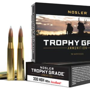 Nosler 60060 Trophy Grade 300H&HMag 180gr Nosler AccuBond 20 Per Box/10 Case