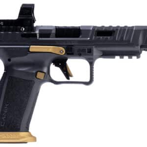 SFx Rival 9mm 5" Grey PicRail optic 18rd