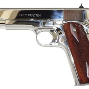 Government 45ACP 5" Bright SS FXD 7rd