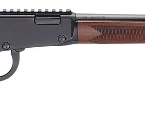 Henry Bandit 22 WMR 18.50" Threaded Barrel Monte Carlo Stock