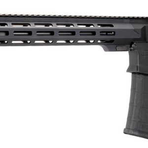US Palm RI00010001AAN Cat4 Storm 5.56 NATO 30+1 16" Black Threaded Barrel, Matte Black Receiver w/Picatinny Rail, M-LOK Handguard, Adjustable Black Polymer Stock, Reduced Angle Grip, Ambidextrous