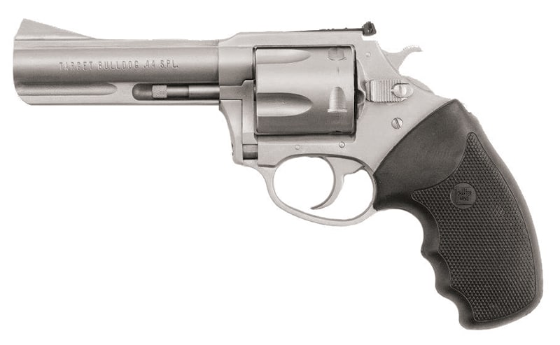 Char Bulldog 44Spl 4.2" SS/Adj Trgt 5rd