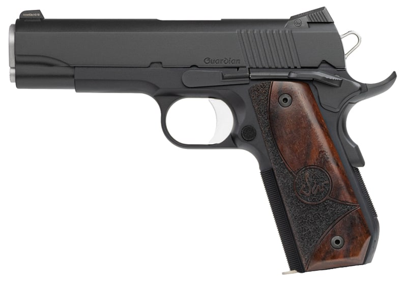 Dan W Guardian 9mm 4.25" Blk,TNS,WG 9rd