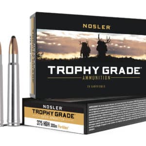Nosler 40606 Trophy Grade Safari  375H&HMag 300gr Nosler Spitzer Partition 20 Per Box/10 Case