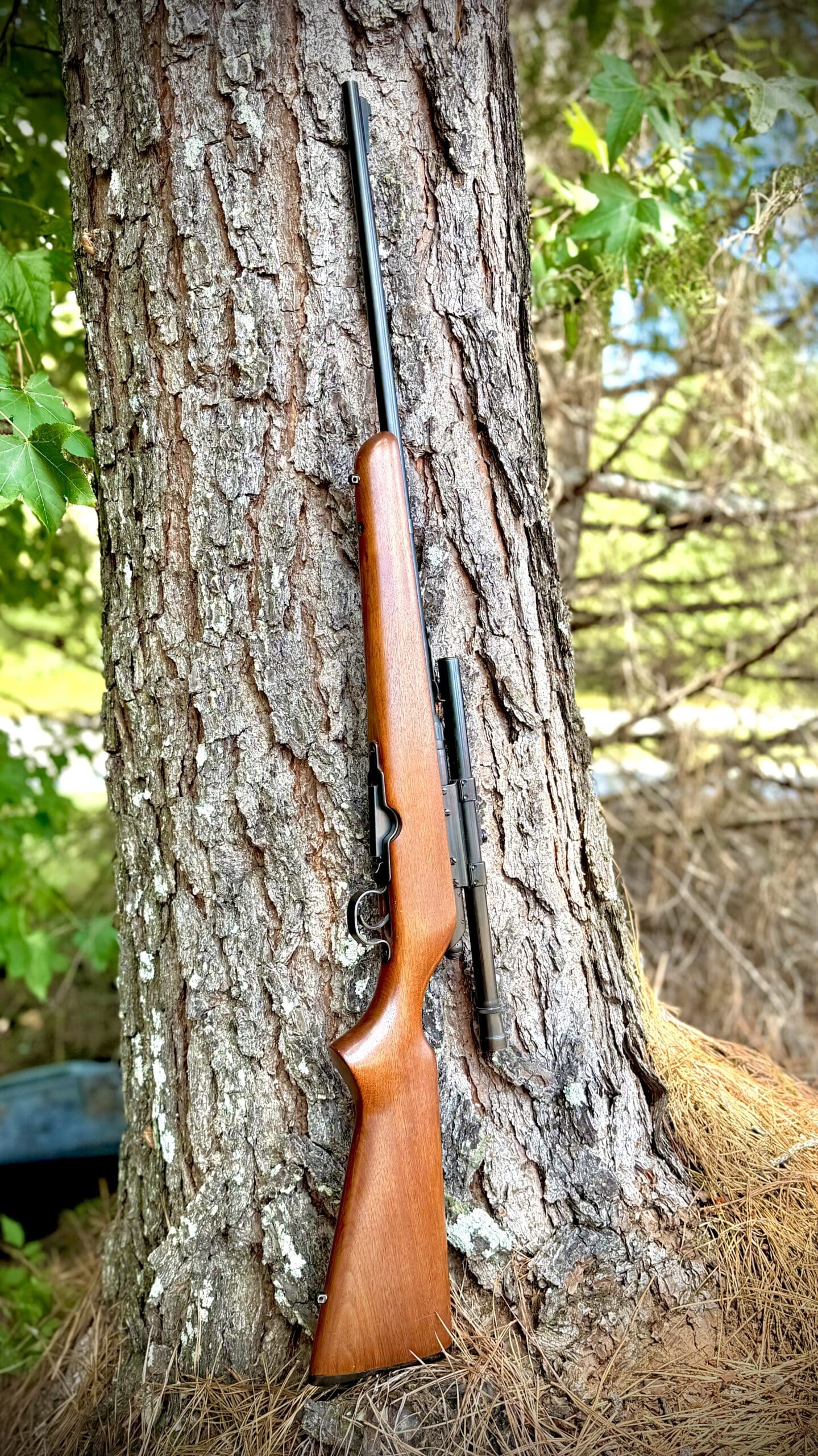 1950s SAVAGE 340 IN 222 REM - Image 2