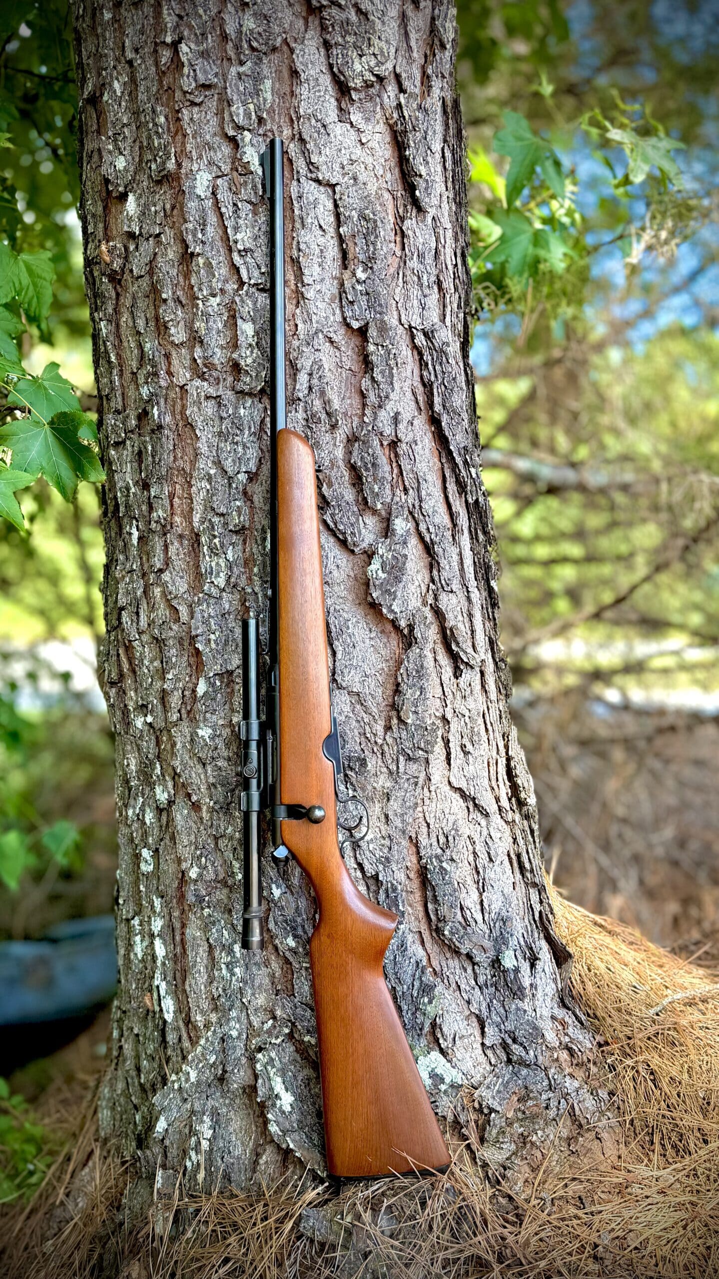1950s SAVAGE 340 IN 222 REM